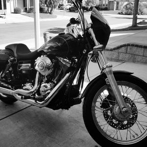 Meet your Posher, Kevin